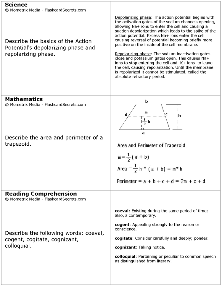 plant cell functions for kids