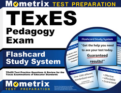 TExES Pedagogy and Professional Responsibilities Exam Flashcard Study System