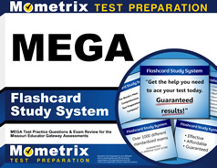 MEGA Flashcards Study System